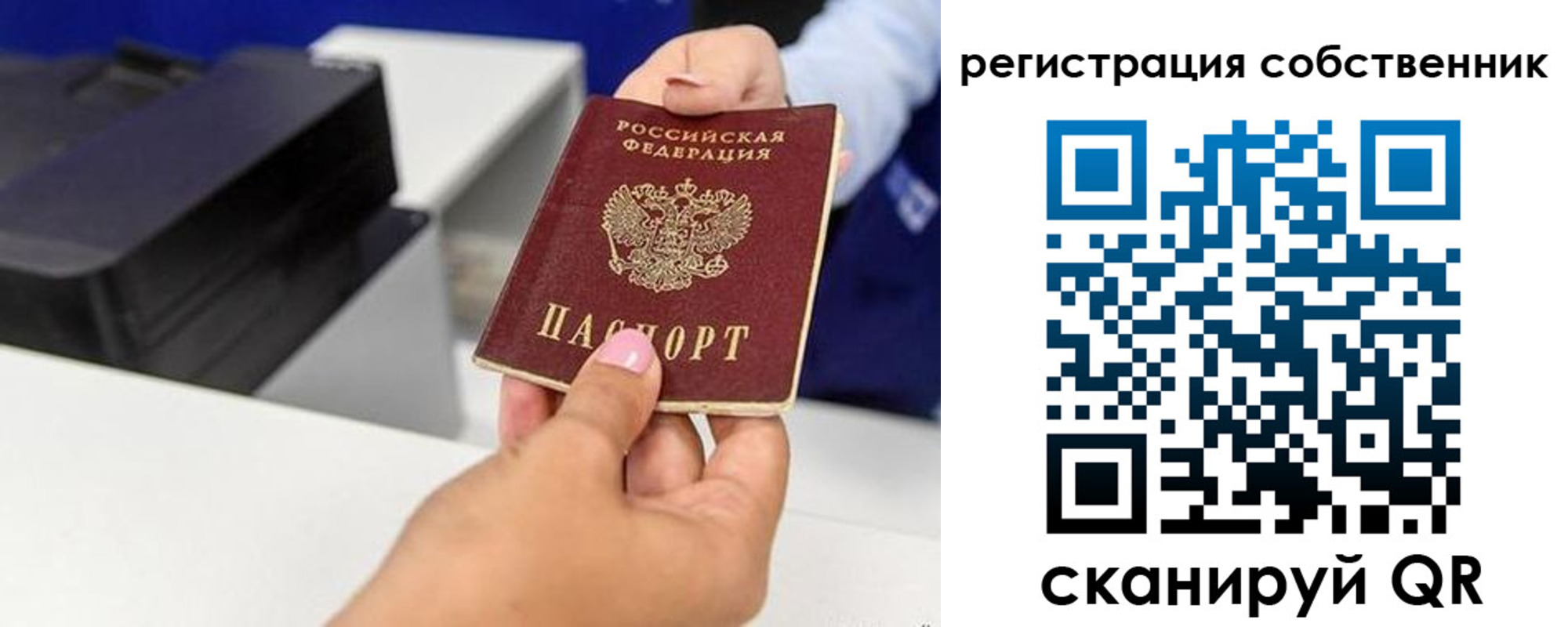 прописка для школы в Азове